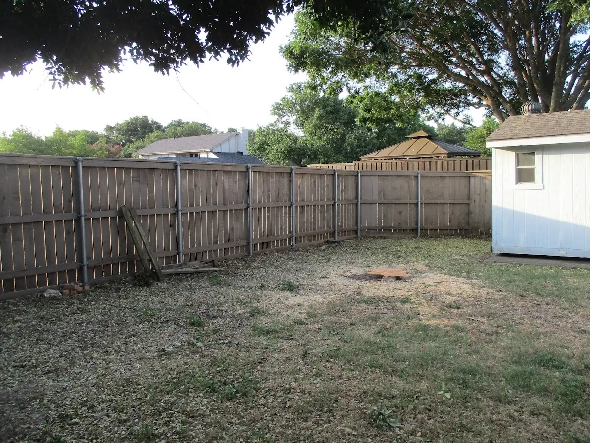 Cleared yard after professional tree removal in Jacksonport