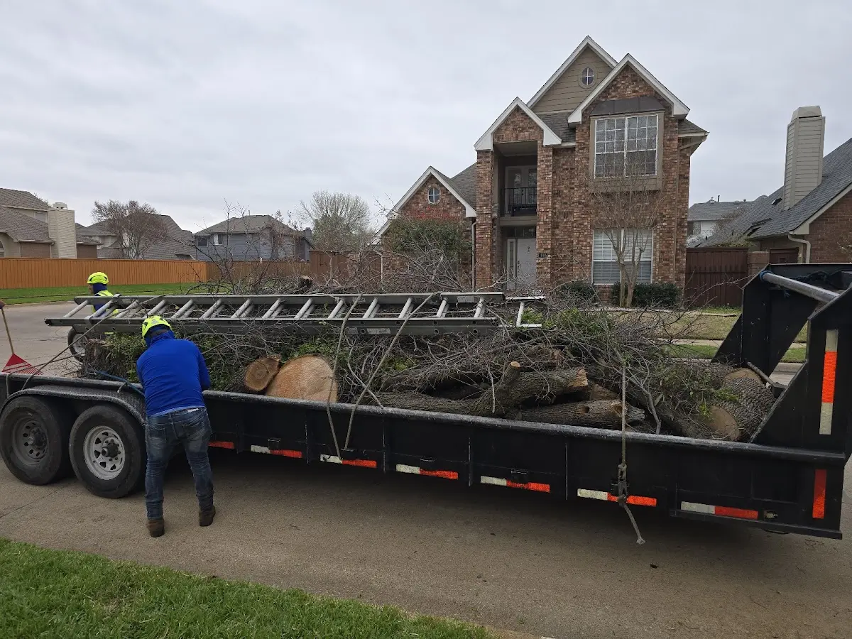 Expert Tree Fertilization with proper safety equipment in Jacksonport